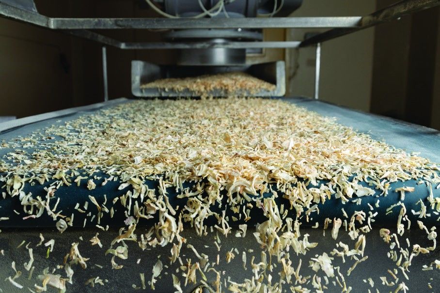 Onion flakes on the drying line